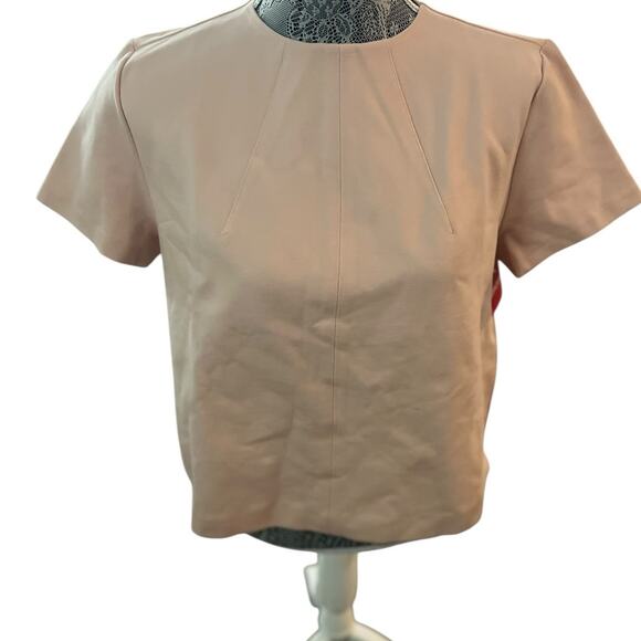 Spanx Pale Pink The Perfect Funnel Top - Size L - NWT - Picture 1 of 6